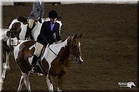 4H-State-2010_0903.jpg