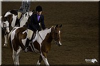 4H-State-2010_0904.jpg
