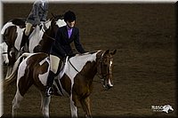 4H-State-2010_0905.jpg
