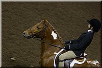 4H-State-2010_0922.jpg