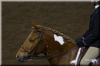 4H-State-2010_0923.jpg