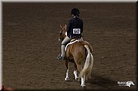 4H-State-2010_0926.jpg
