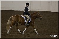 4H-State-2010_0927.jpg