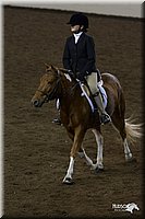 4H-State-2010_0931.jpg