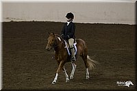 4H-State-2010_0937.jpg