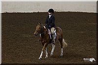 4H-State-2010_0938.jpg