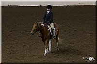 4H-State-2010_0939.jpg