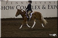 4H-State-2010_0941.jpg