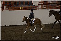 4H-State-2010_0948.jpg