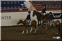4H-State-2010_0950.jpg