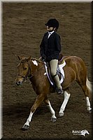 4H-State-2010_0956.jpg