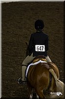 4H-State-2010_0957.jpg