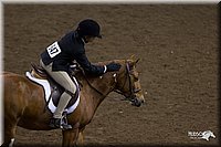 4H-State-2010_0967.jpg