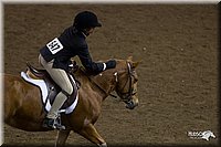 4H-State-2010_0968.jpg