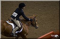 4H-State-2010_0969.jpg