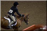 4H-State-2010_0970.jpg