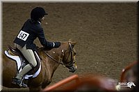 4H-State-2010_0971.jpg