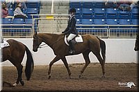 4H-State-2010_1029.jpg