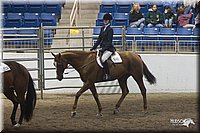 4H-State-2010_1030.jpg