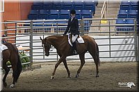 4H-State-2010_1031.jpg