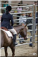 4H-State-2010_1045.jpg