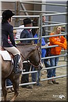 4H-State-2010_1046.jpg