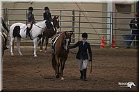 4H-State-2010_1055.jpg