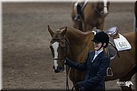 4H-State-2010_1060.jpg