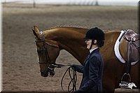 4H-State-2010_1066.jpg