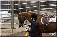 4H-State-2010_1070.jpg