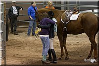 4H-State-2010_1074.jpg