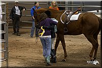 4H-State-2010_1075.jpg