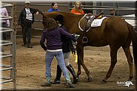 4H-State-2010_1076.jpg