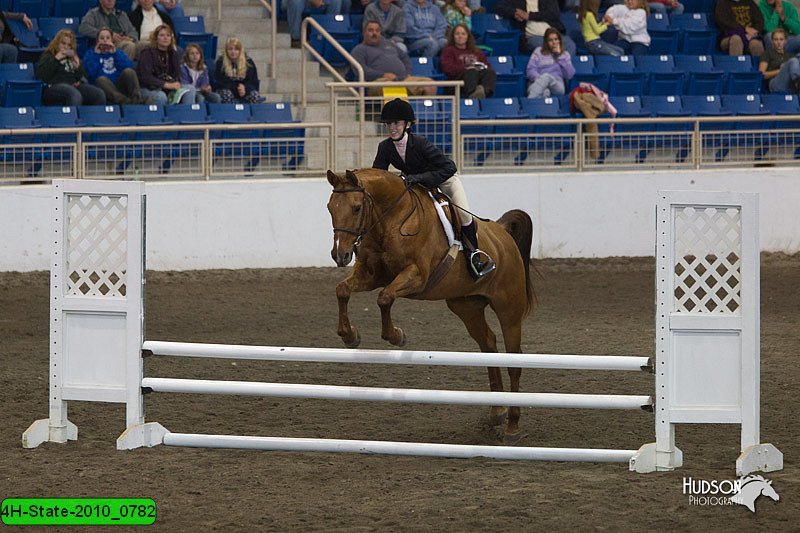 4H-State-2010_0782.jpg