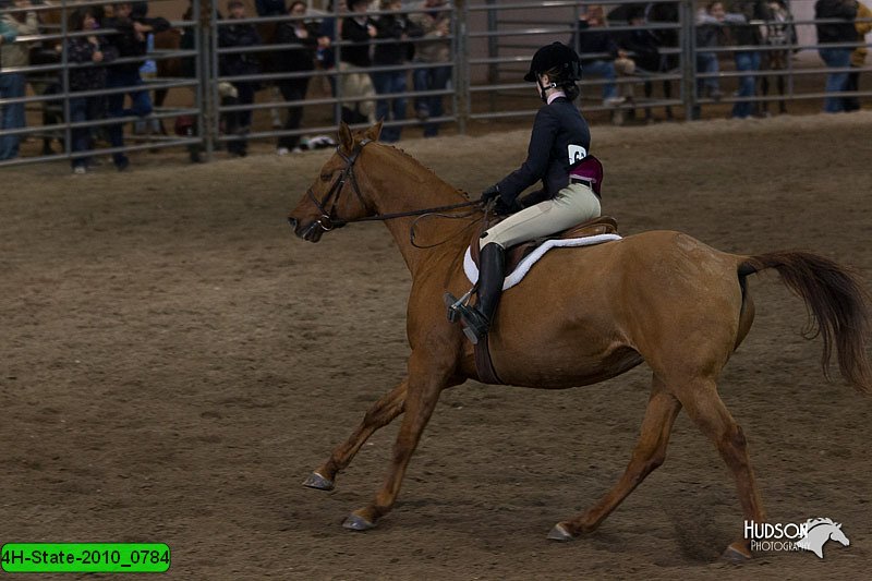 4H-State-2010_0784.jpg
