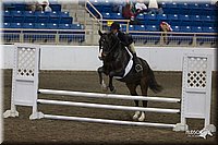 4H-State-2010_0739.jpg