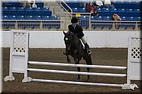 4H-State-2010_0740.jpg