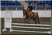 4H-State-2010_0742.jpg