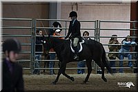 4H-State-2010_0753.jpg