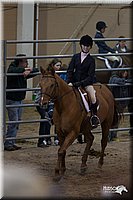 4H-State-2010_0760.jpg