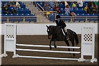 4H-State-2010_0776.jpg