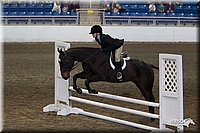 4H-State-2010_0778.jpg