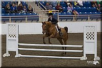 4H-State-2010_0782.jpg