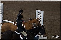 4H-State-2010_0790.jpg