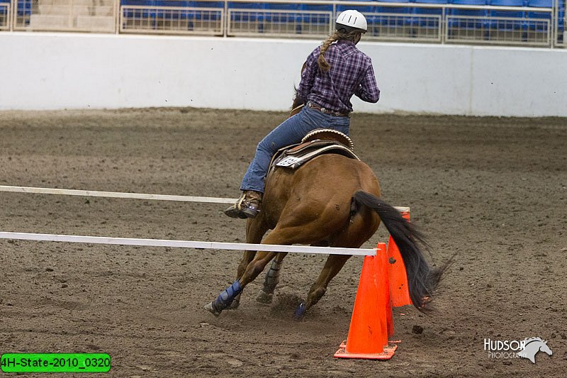4H-State-2010_0320.jpg