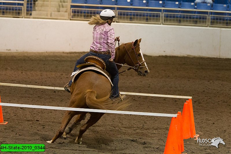 4H-State-2010_0344.jpg