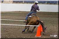 4H-State-2010_0320.jpg