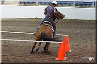 4H-State-2010_0321.jpg