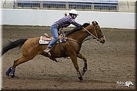 4H-State-2010_0332.jpg