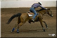 4H-State-2010_0337.jpg